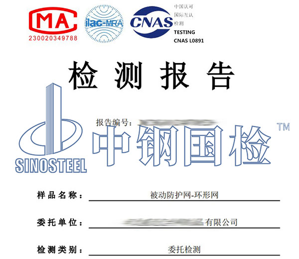防護網(wǎng)檢測報告