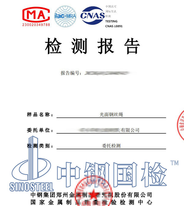 鋼絲繩復檢報告