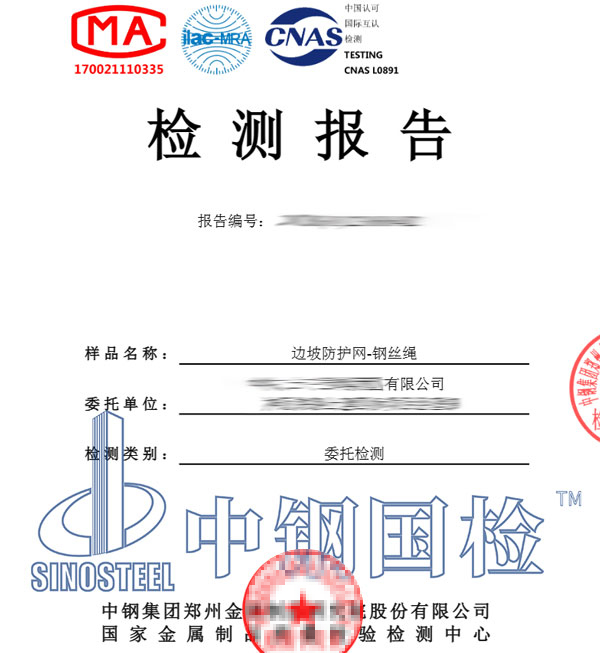 邊坡防護(hù)網(wǎng)檢測報(bào)告